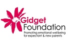 Gidget Foundation used MediaCast for Public Relations